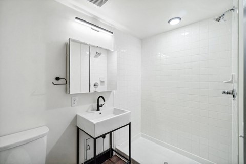 a bathroom with a sink and a toilet and a shower