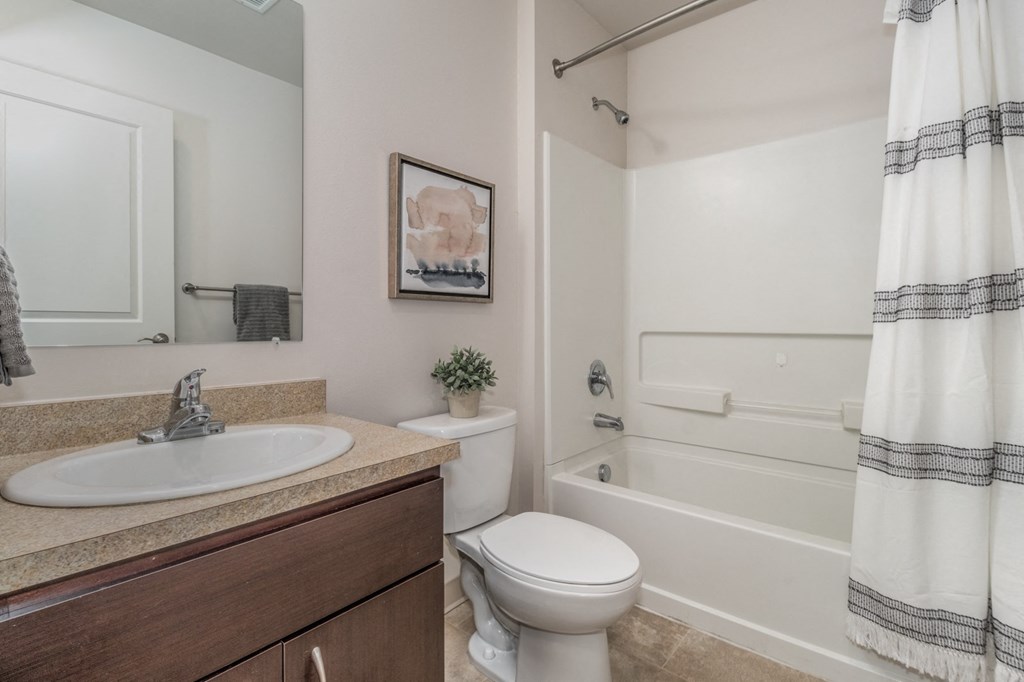 a bathroom with a sink toilet and shower and a bath tub