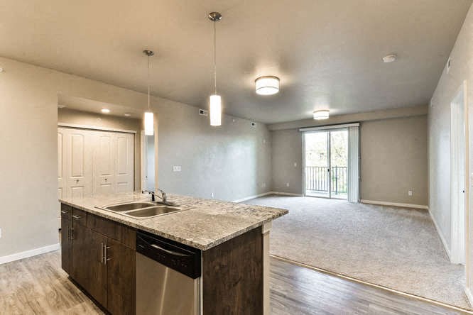 an empty kitchen with a sink and an empty living room