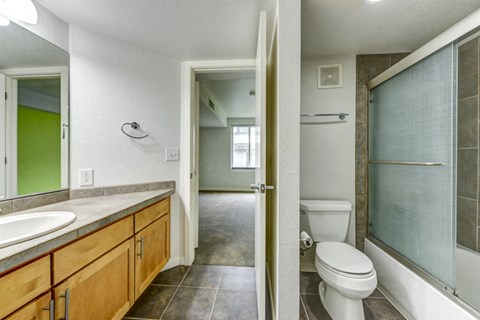2850 E. College Avenue #304 Bathroom