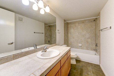 a bathroom with a sink and a shower and a toilet