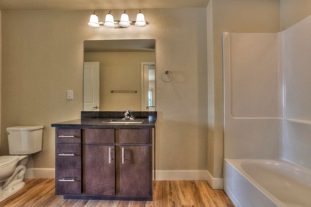 a bathroom with a sink and a toilet and a bath tub