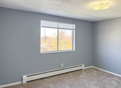 A room with a window and a white radiator on the floor.