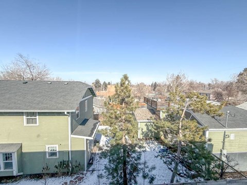 A snowy landscape with a green house in the foreground.