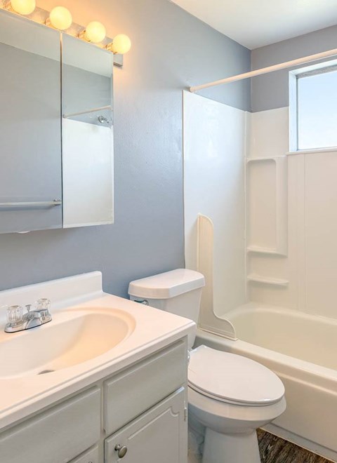 A white toilet sits next to a sink in a bathroom.