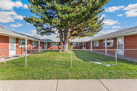 A tree in front of a row of houses.