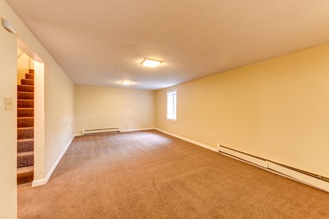 449 Harvard Lane Basement