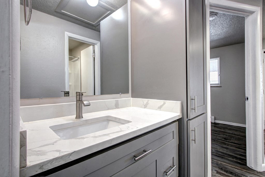 a bathroom with a sink and a mirror
