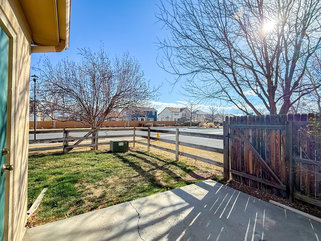 A view from a window of a backyard with a fence and a tree.