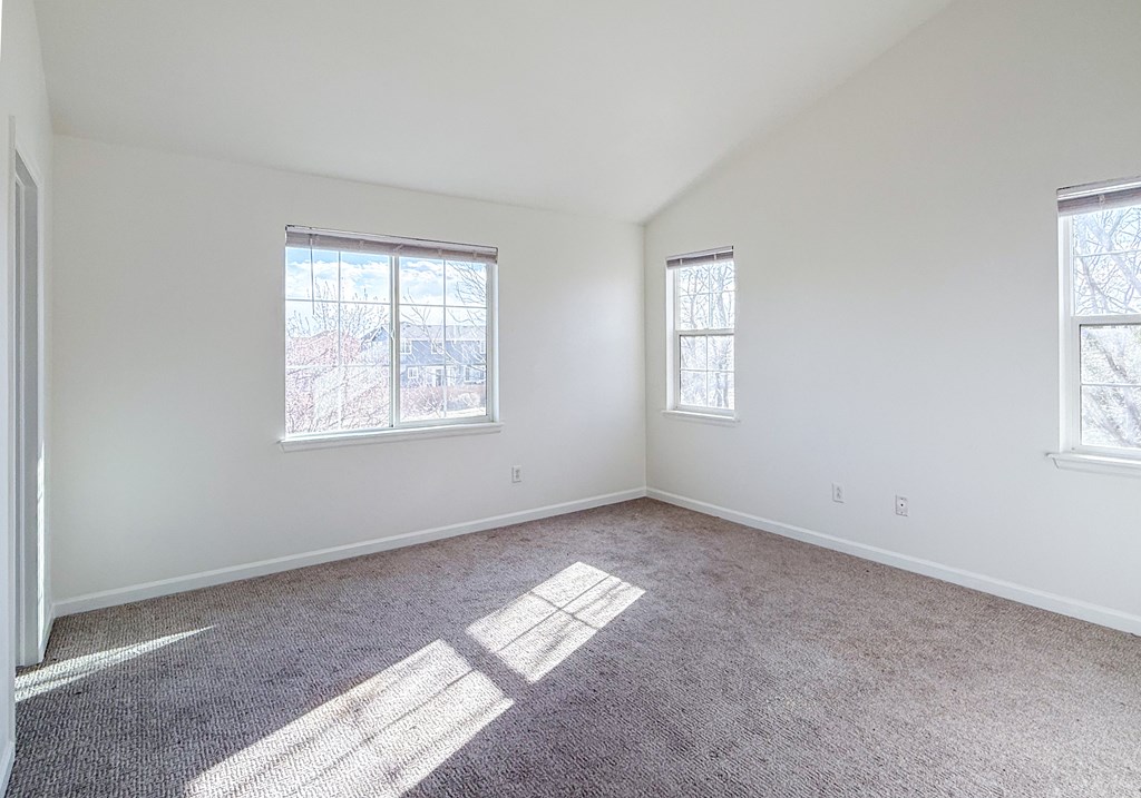 A room with two windows and carpeted floor.
