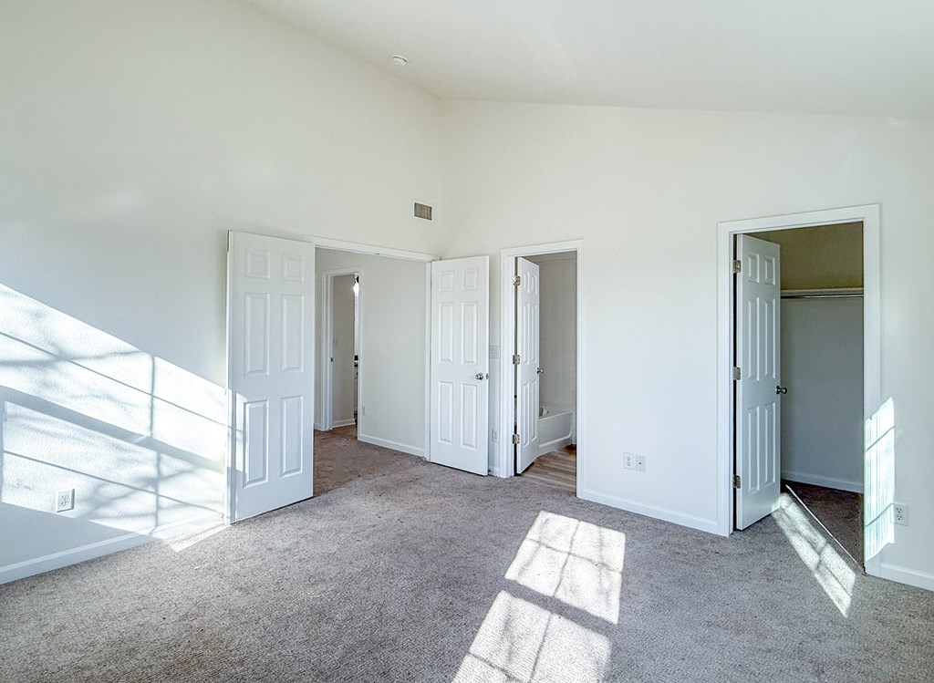 A sunny room with white doors and carpeted floor.