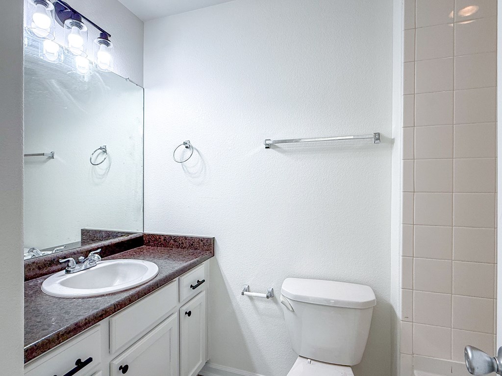 A white toilet sits next to a sink in a bathroom.