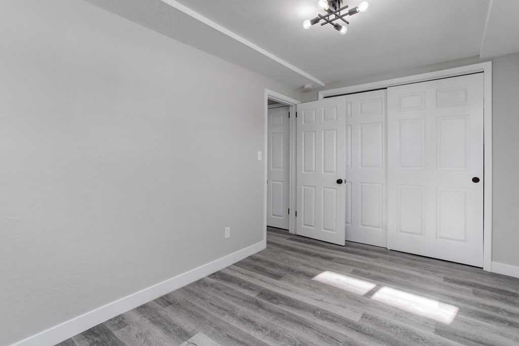 a bedroom with two closets and a door to a closet