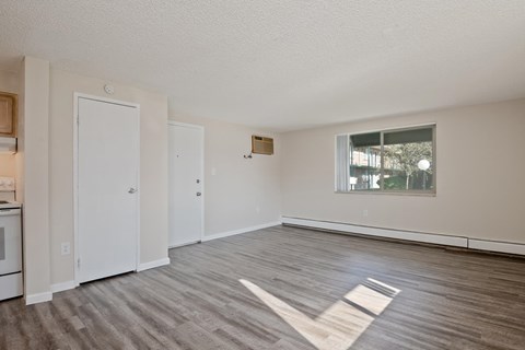 A spacious room with a window and a rug on the floor.