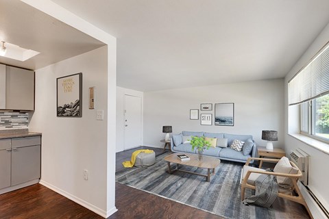 A living room with a grey couch and a grey rug.