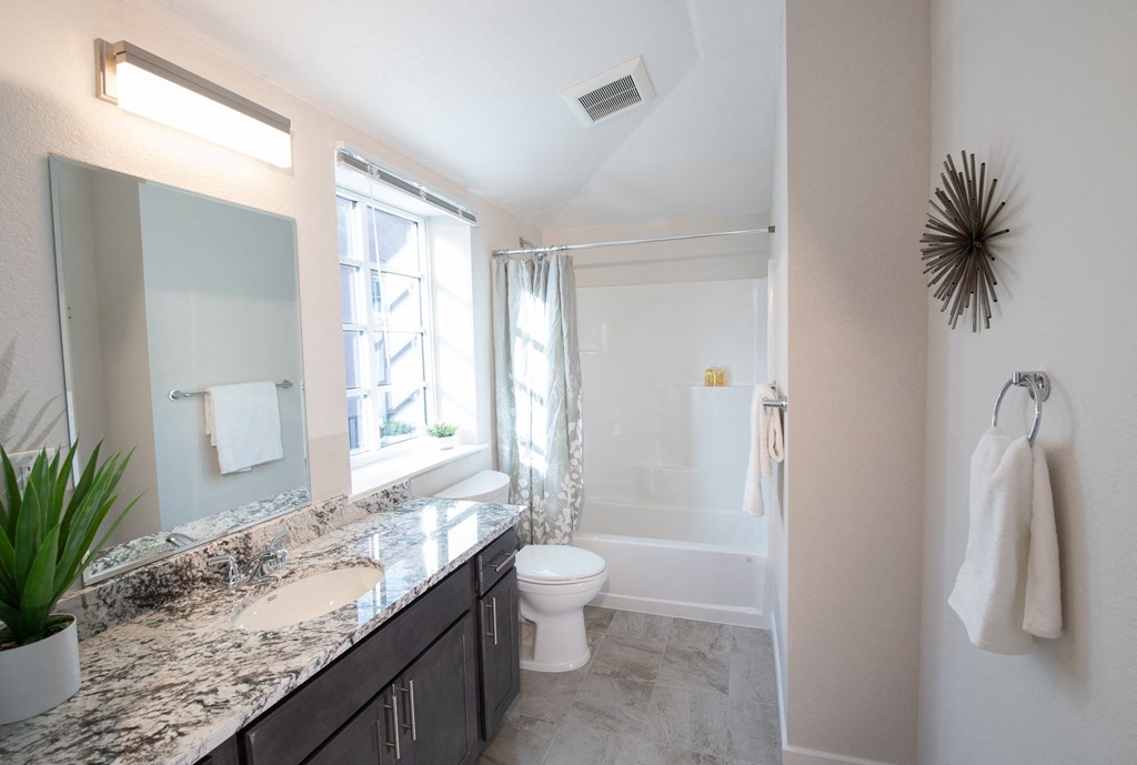 Luxurious Bathroom at 891 Exchange, Boulder
