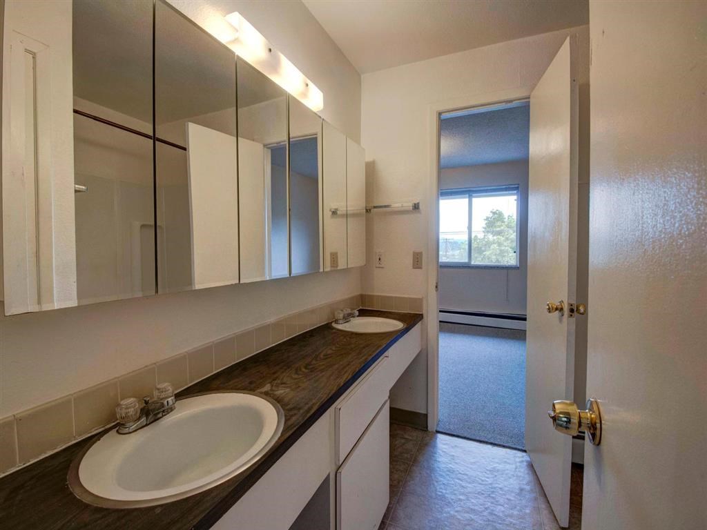 a bathroom with two sinks and a large mirror