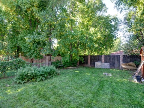A backyard with a wooden fence and a green lawn.