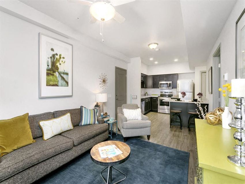 3425 South Shields Street Studio-2 Beds Apartment, Fort Collins for Rent - Photo Gallery