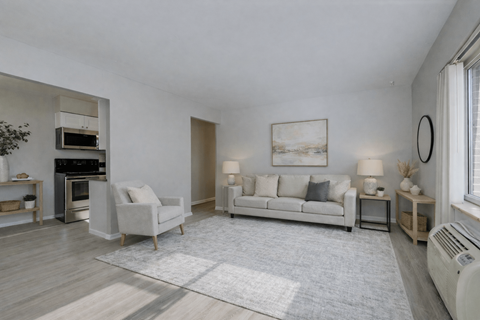 A living room with a white couch and a grey rug.