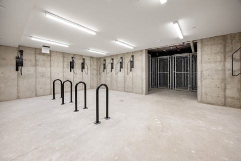 A gym with a concrete wall and a row of black pull-up bars.