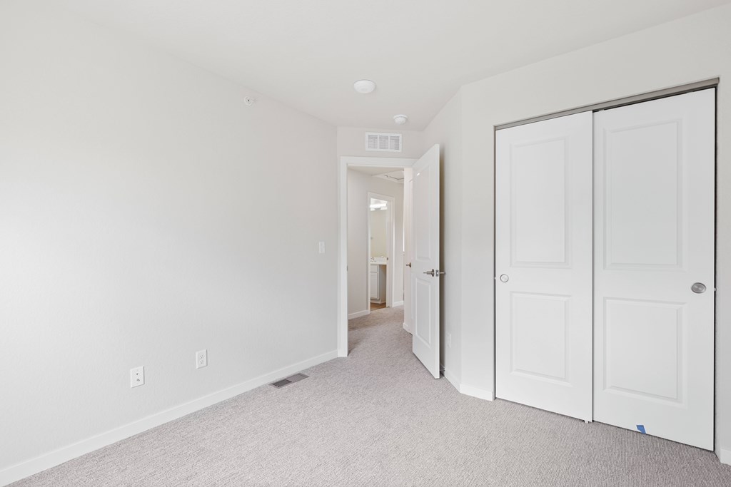 Large Walk-In Closets at The Townhomes at Pine Drive, Colorado, 80138