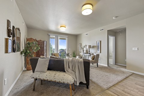 A living room with a couch, chair, and a rug.