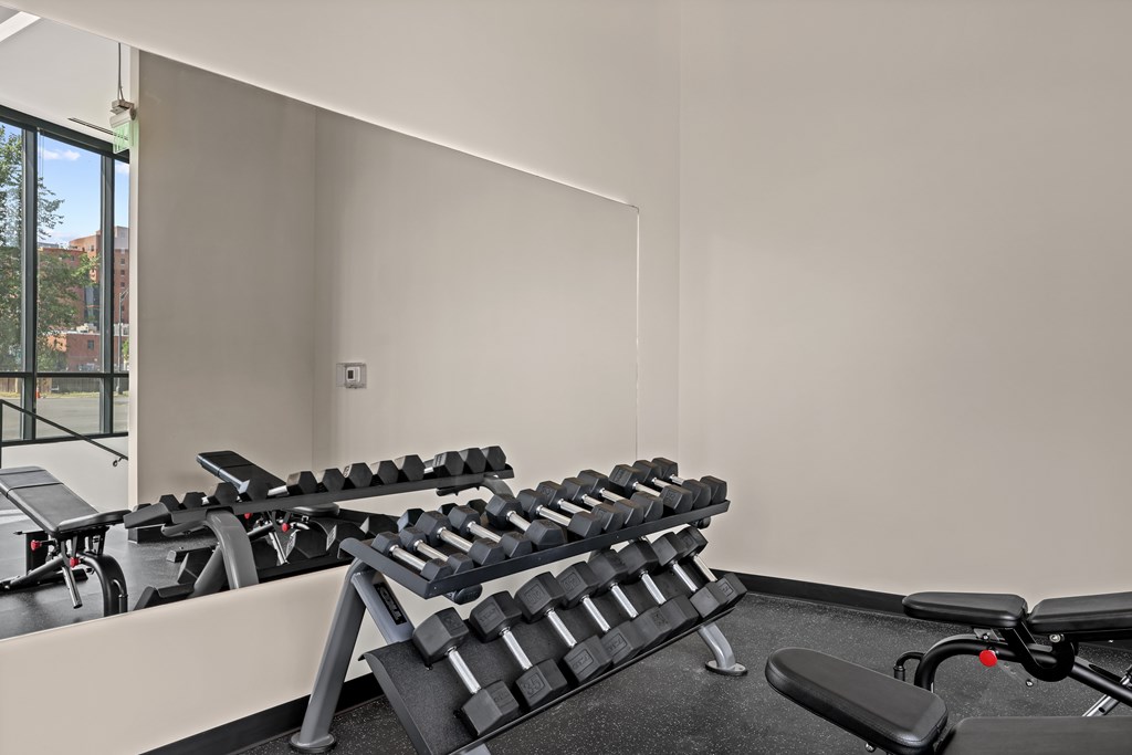 A gym with a row of dumbbells and a bench press.