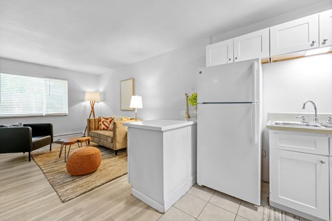 A kitchen with a white refrigerator, a white sink, and a white cabinet.