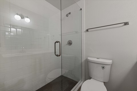 A white toilet sits next to a walk-in shower.