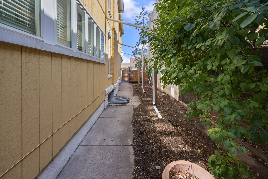 A small garden area with a concrete path and a small tree.