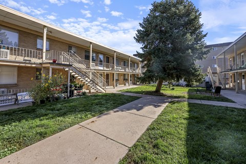 A tree in a courtyard surrounded by buildings.