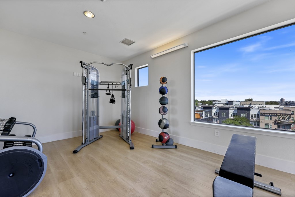 A home gym with a squat rack, bench, and weights.