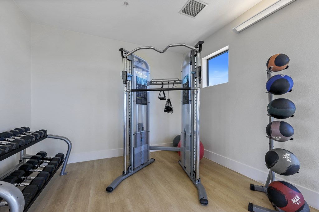 A home gym with a variety of equipment including a squat rack, dumbbells, and a bench.