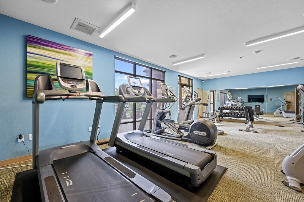 A treadmill is in the middle of a room with exercise equipment.