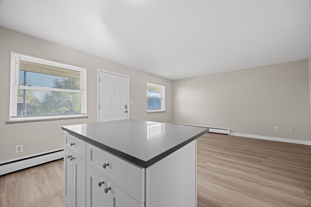 A kitchen with a countertop and cabinets.