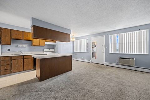 A kitchen with a counter top and cabinets.