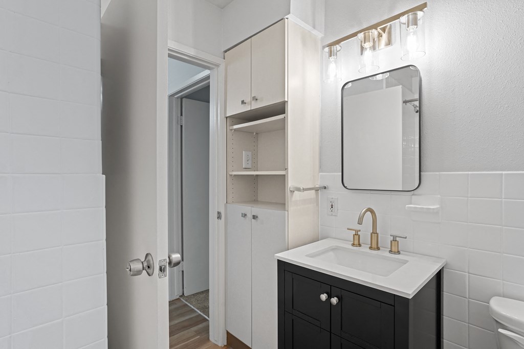 a bathroom with a sink and mirror