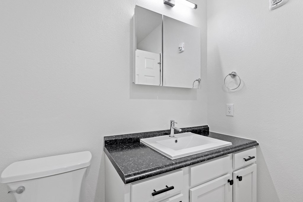 a bathroom with a sink and a toilet