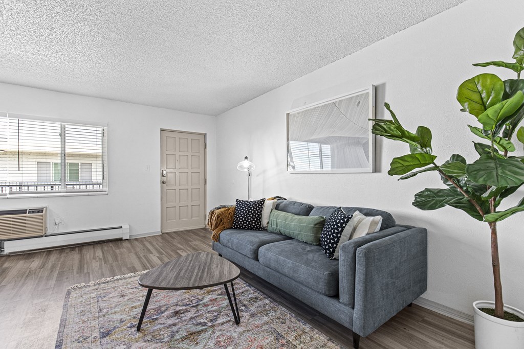 a living room with a couch and a coffee table
