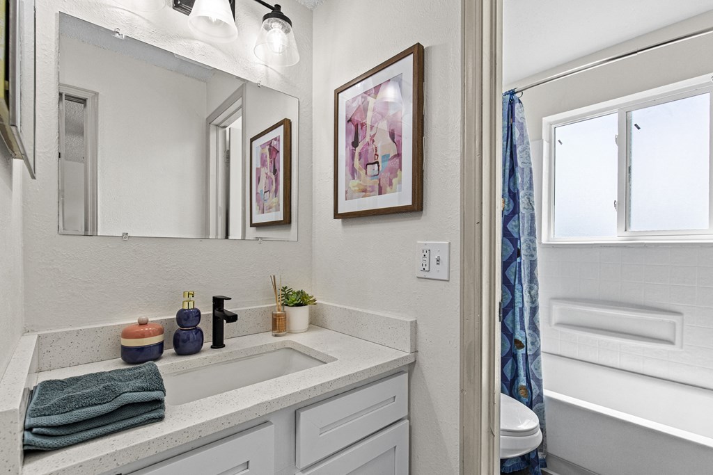 a bathroom with a sink and a mirror and a shower