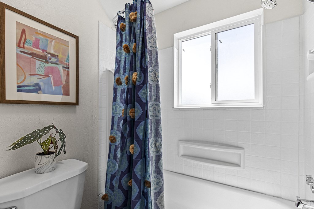 a bathroom with a shower curtain and a toilet and a window