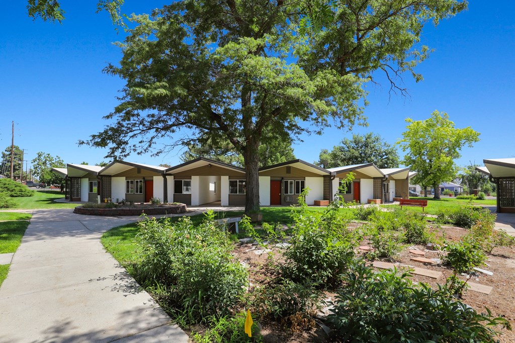 a row of houses in a neighborhood with trees and a sidewalk