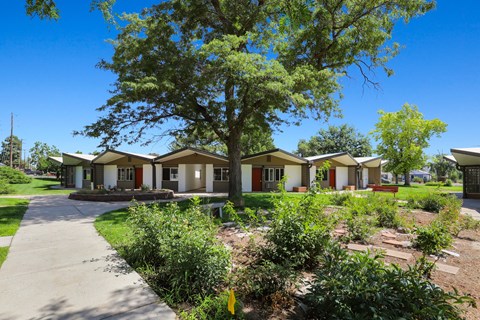 a row of houses in a neighborhood with trees and a sidewalk