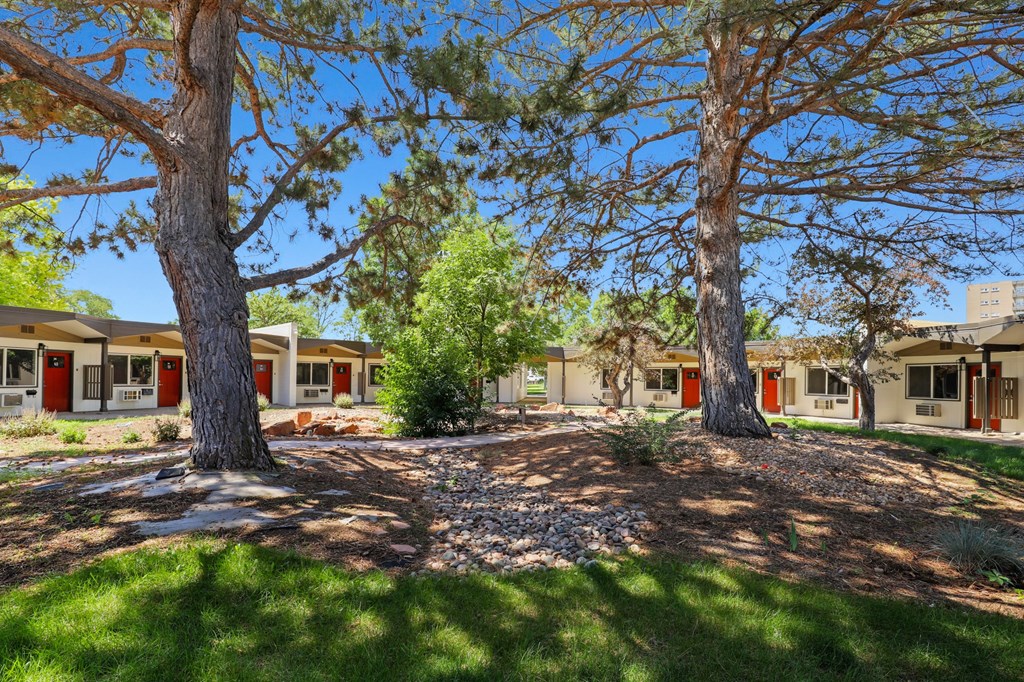 a courtyard with trees and houses in the background