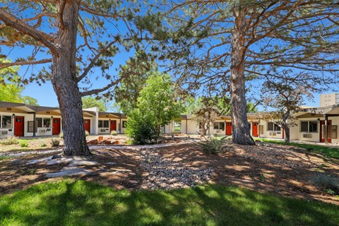 a courtyard with trees and houses in the background