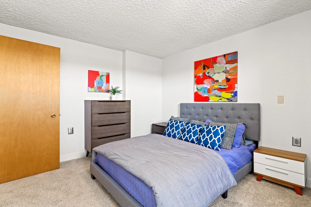 a bedroom with a bed and a closet