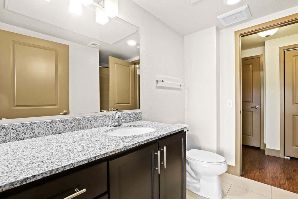 a bathroom with a sink and a toilet and a mirror