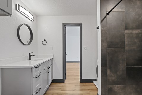 a bathroom with a sink and a mirror