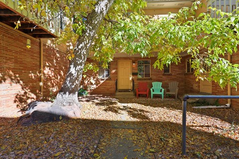 a tree in front of a house with a porch